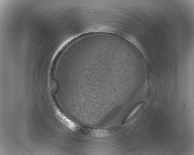 X0000078891120200611201429