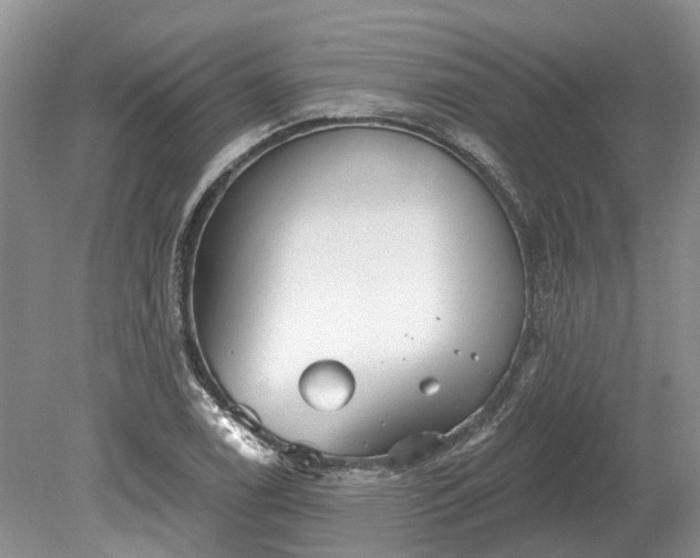 X0000078891122200611201429