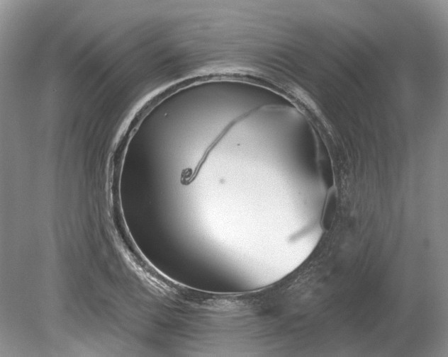 X0000078891124200611201429