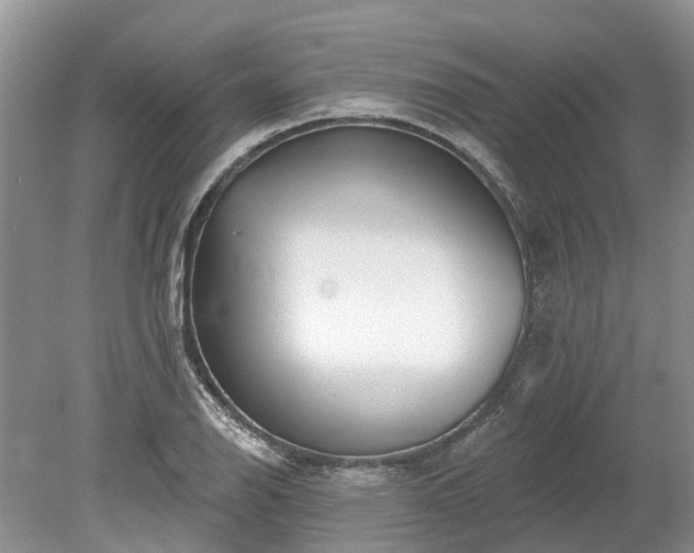 X0000078891126200611201429