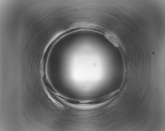 X0000078891128200611201430