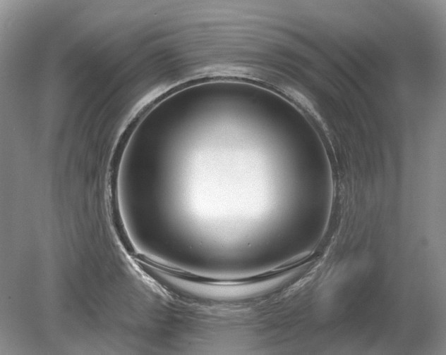 X0000078891133200611201430