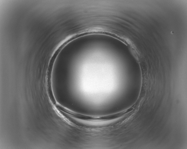 X0000078891134200611201430