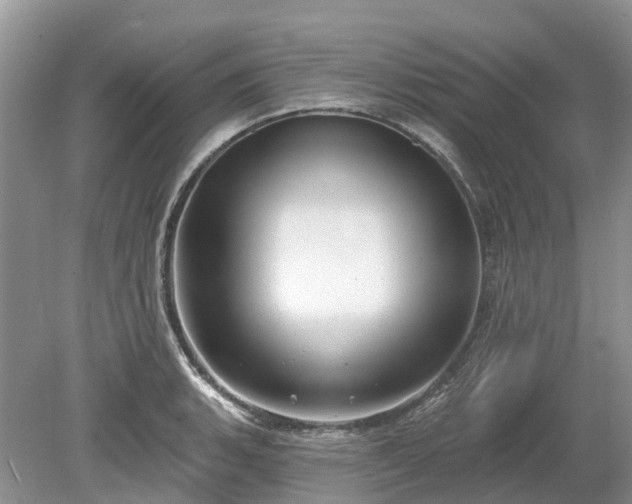 X0000078891135200611201430