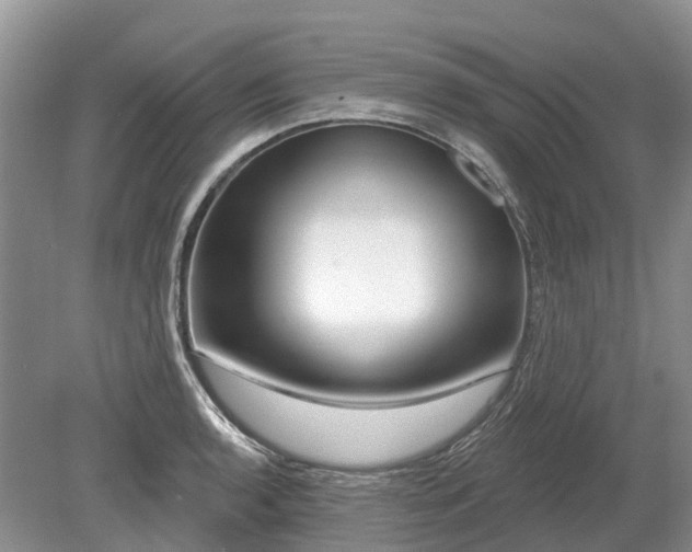 X0000078891136200611201430