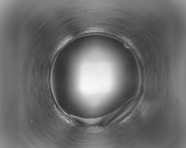 X0000078891137200611201430