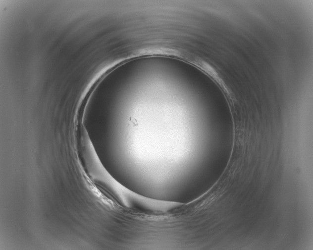 X0000078891140200611201430