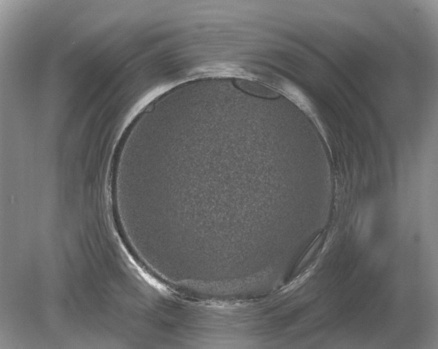 X0000078891141200611201430