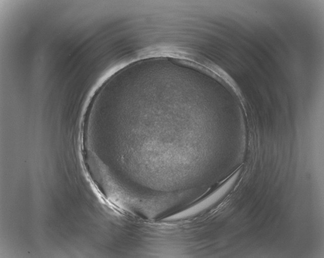 X0000078891144200611201430