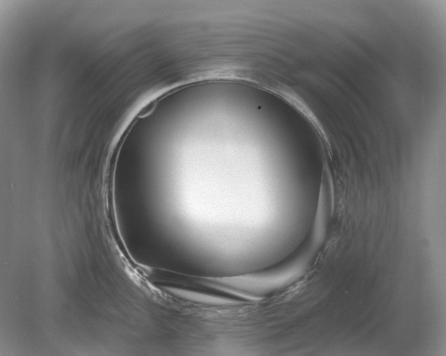 X0000078891148200611201430