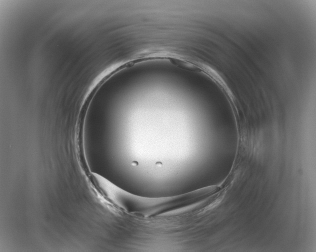 X0000078891149200611201430