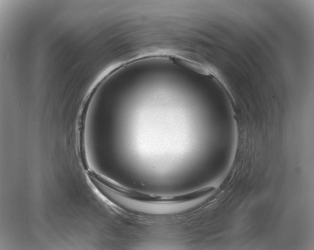 X0000078891151200611201430