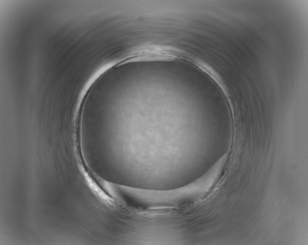 X0000078891152200611201430