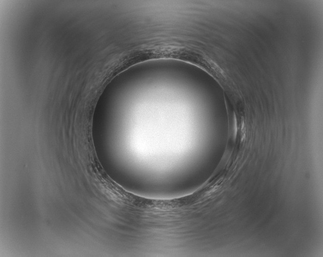 X0000078891153200611201429