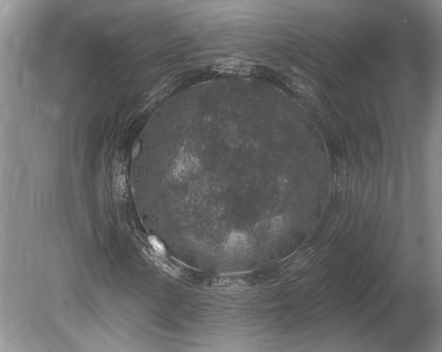 X0000078891154200611201429