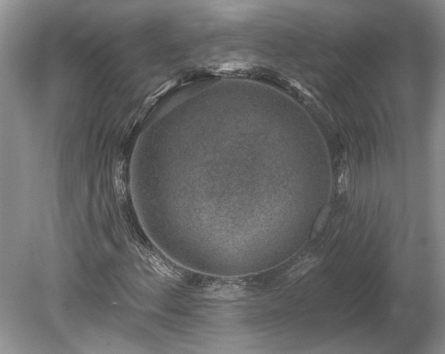 X0000078891156200611201429