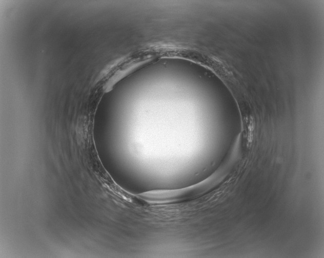 X0000078891157200611201429