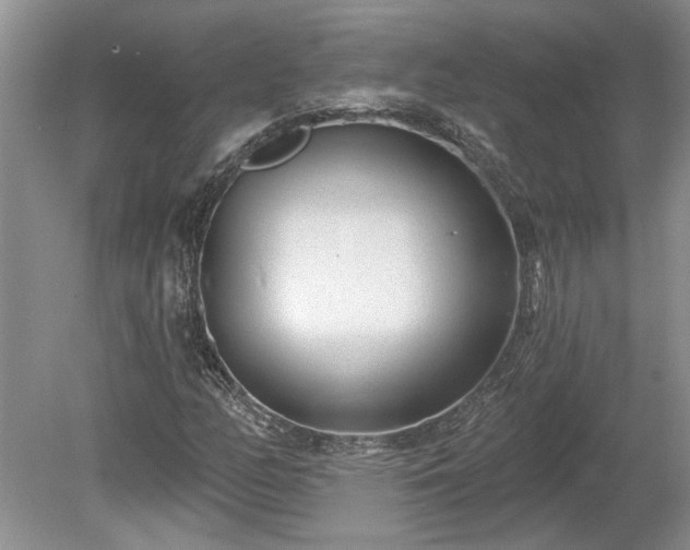 X0000078891158200611201429