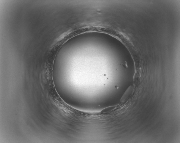 X0000078891159200611201429