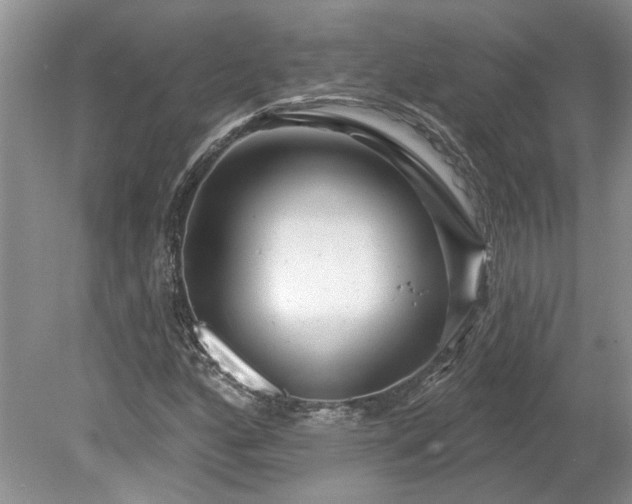 X0000078891160200611201429