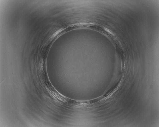 X0000078891161200611201429