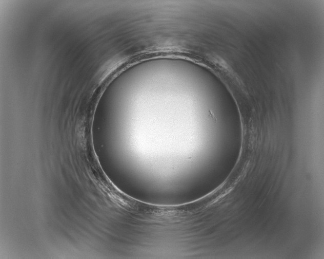 X0000078891162200611201429