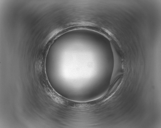 X0000078891163200611201429