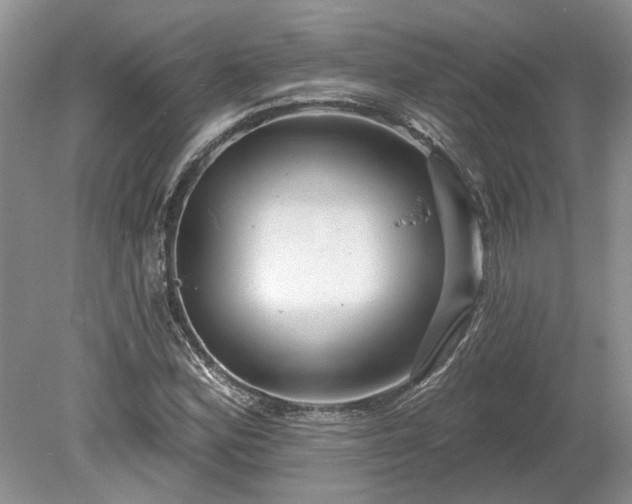 X0000078891164200611201429