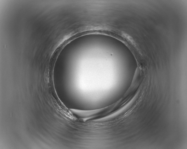 X0000078891165200611201429