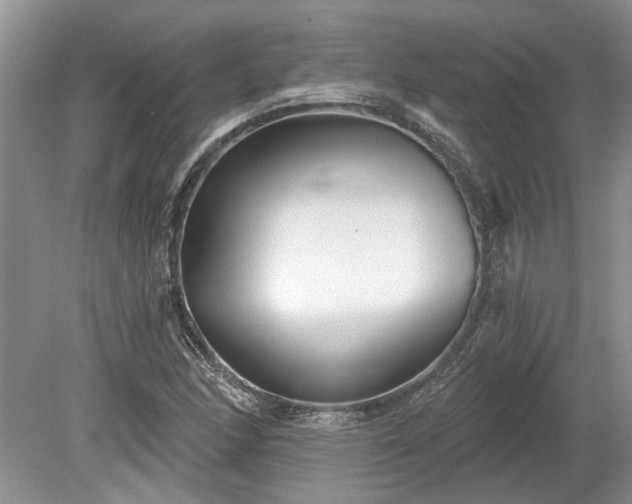 X0000078891166200611201429