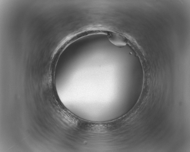 X0000078891167200611201429