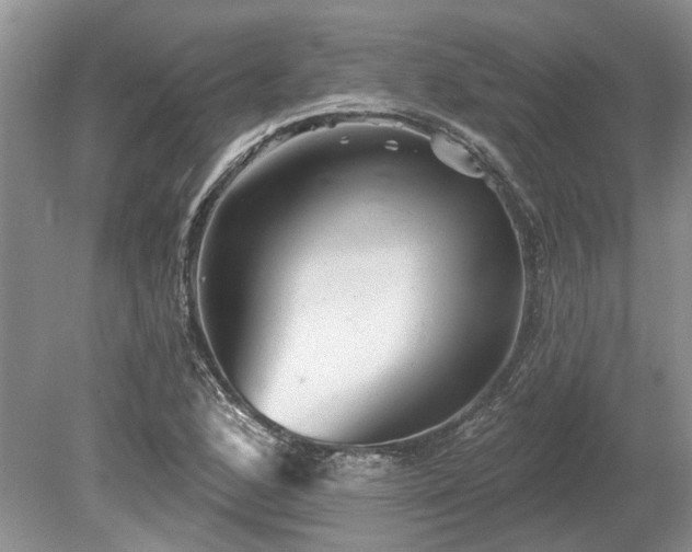 X0000078891168200611201429