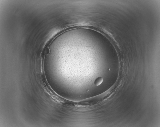 X0000078891171200611201429