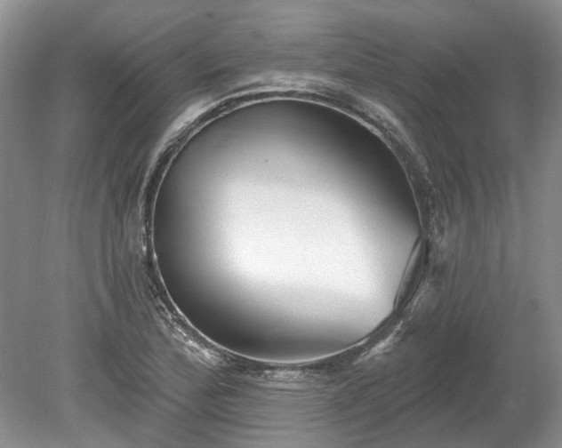 X0000078891172200611201429