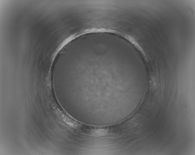 X0000078891173200611201429