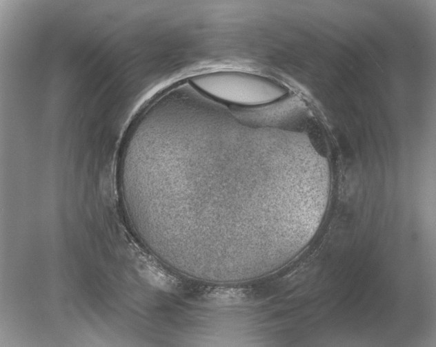 X0000078891174200611201429