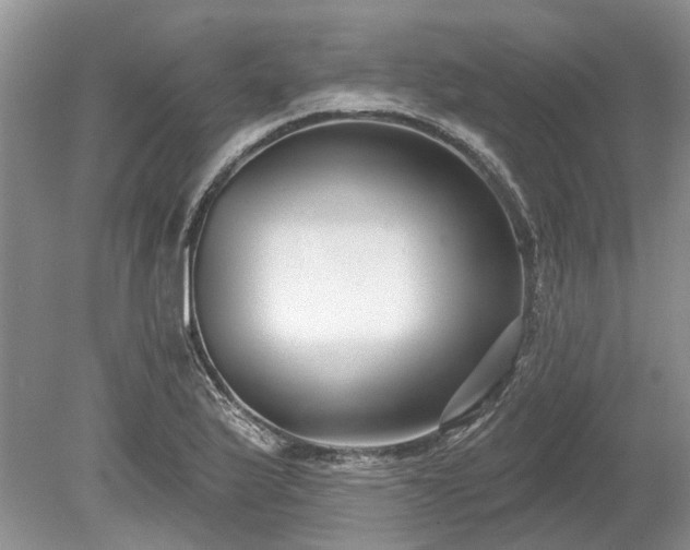 X0000078891175200611201429