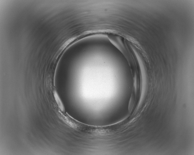 X0000078891177200611201429