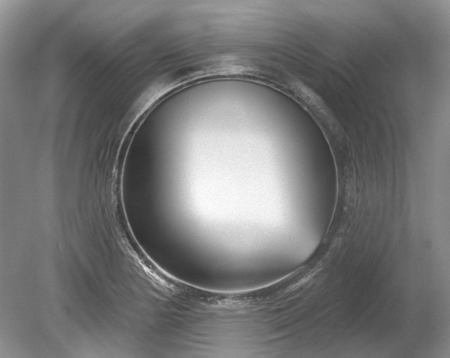 X0000078891178200611201429