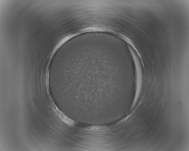 X0000078891179200611201429