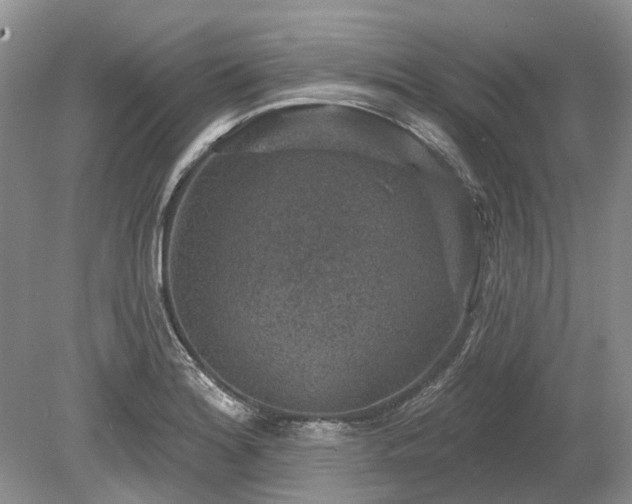 X0000078891180200611201429