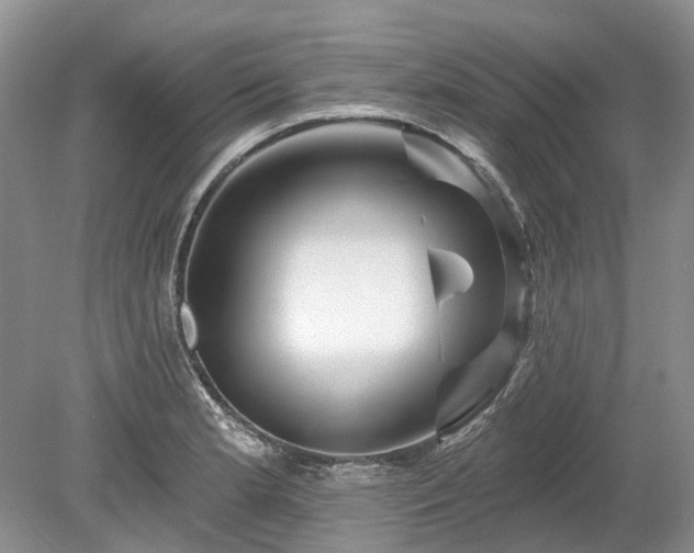 X0000078891181200611201429