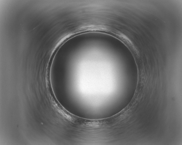 X0000078891182200611201429