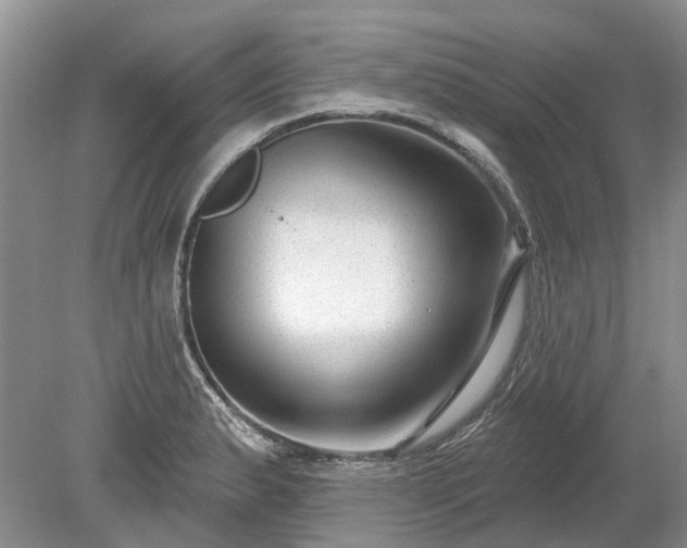 X0000078891183200611201429