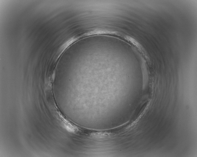 X0000078891185200611201429