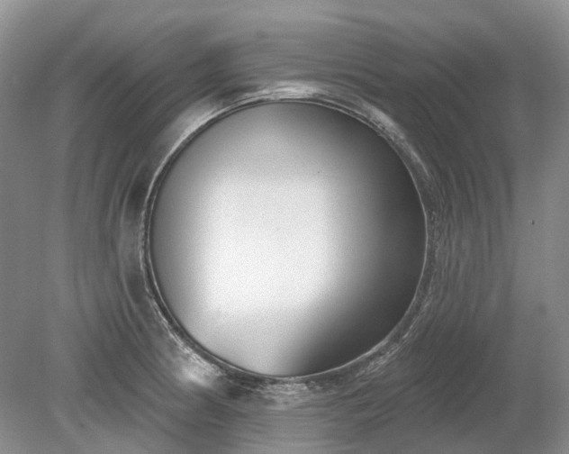 X0000078891186200611201429