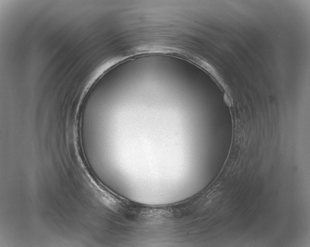 X0000078891187200611201429