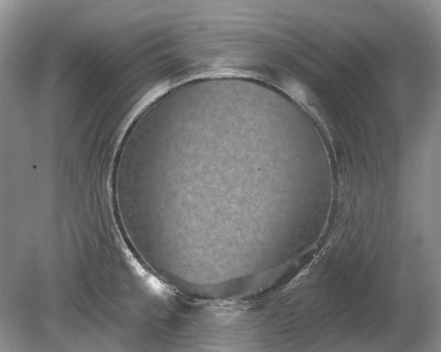 X0000078891189200611201428