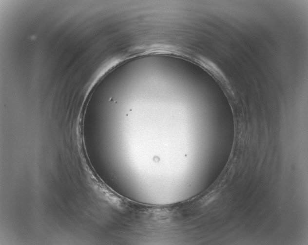 X0000078891190200611201428