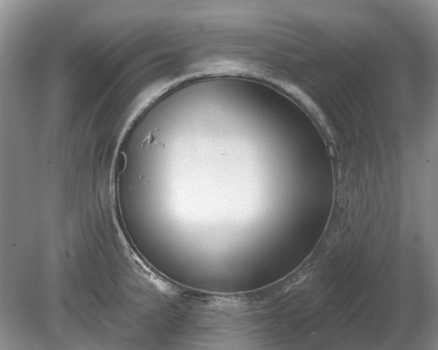 X0000078891191200611201428